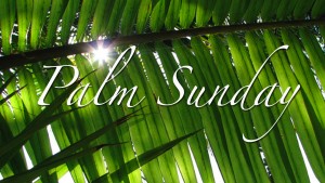 palm-sunday1
