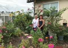 S. Mary Romana's garden