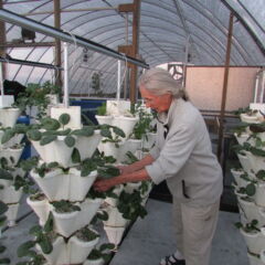 Aqua/Hydroponics